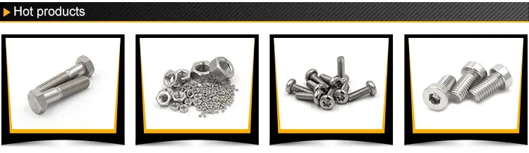 Torx Head Screw
