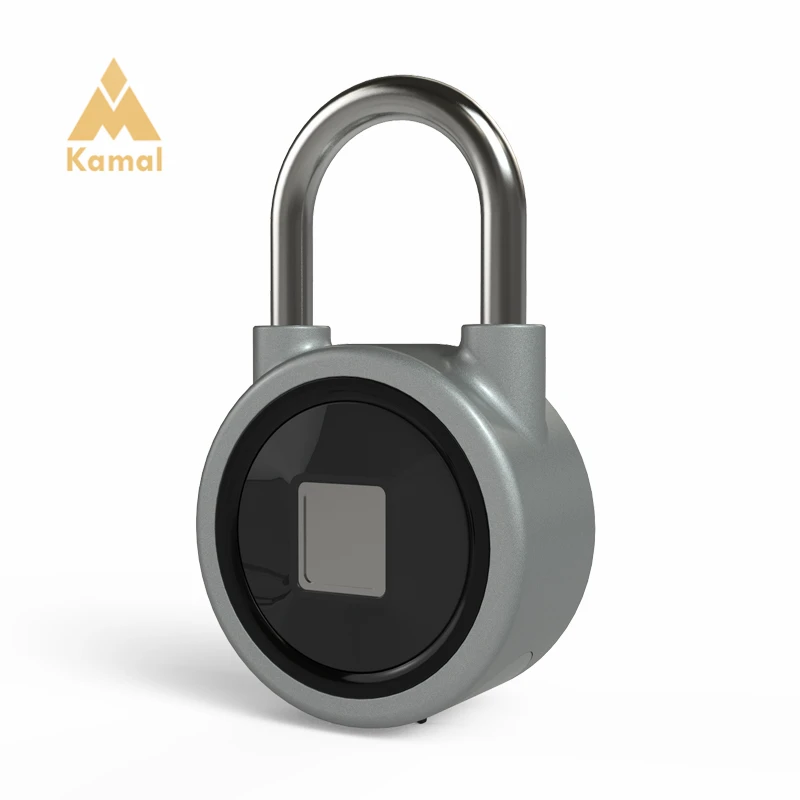 bluetooth travel lock