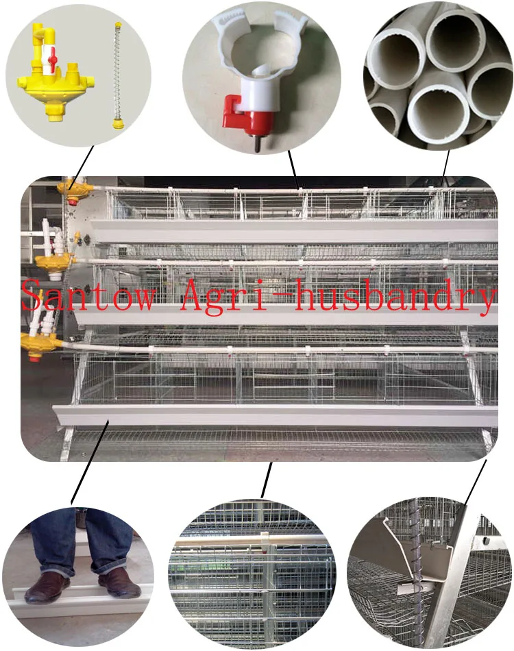 Hot Sale Deep Galvanized Chicken Egg Layer Cage Factory Price Pyramid