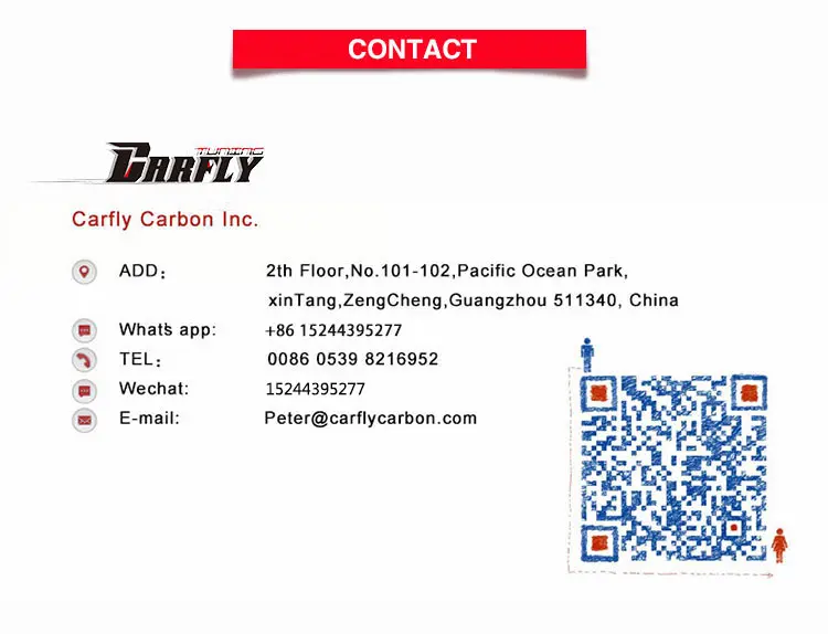 carfly carbon 06 .jpg