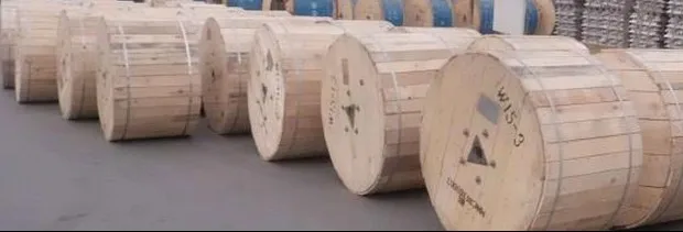 HTB1IS10GXXXXXXSXVXXq6xXFXXXa