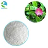 pure Andrographis Paniculata Extract Andrographolide