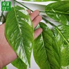 New fresh colors leaves environmental artificial tree leaves for decoration
