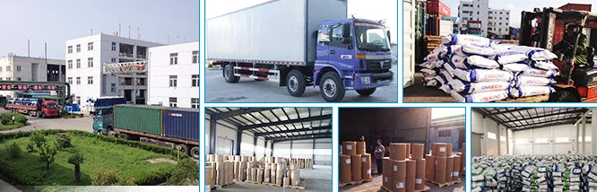 paste-pic-dp_uuid_ve1op