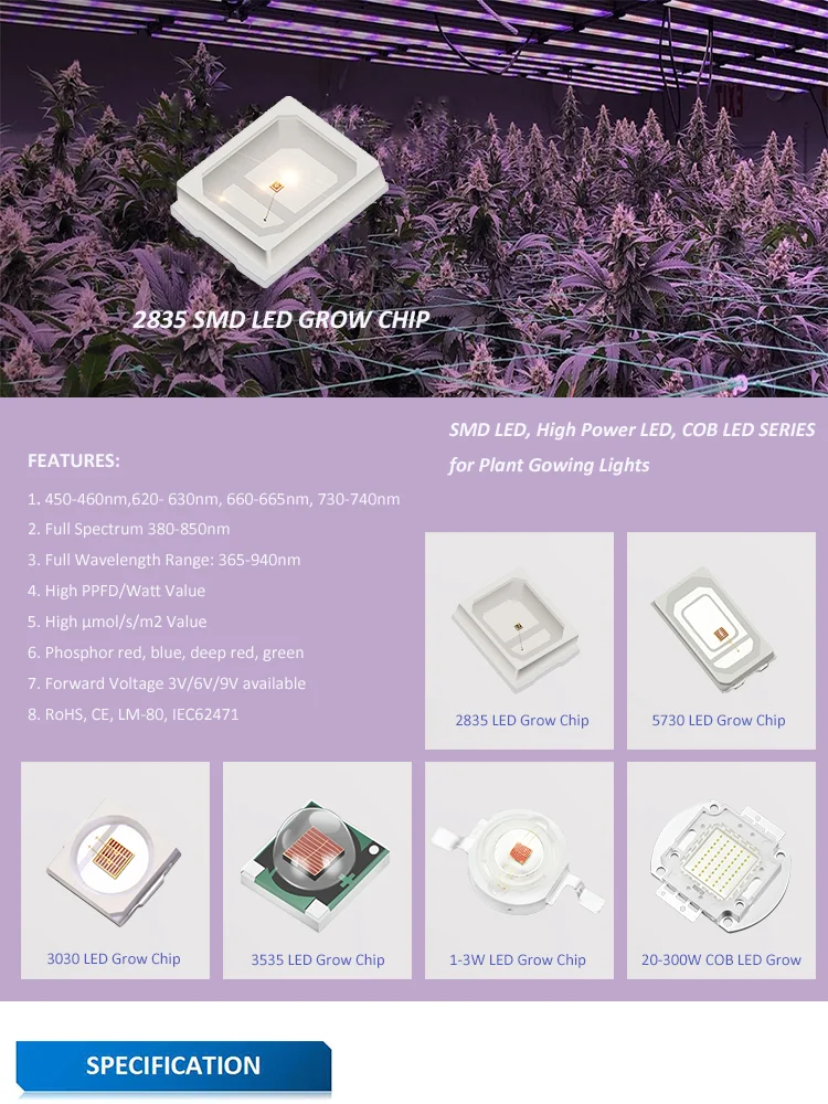 440nm 450nm 620nm 630nm 660nm 730nm Smd Led 0.2w 2835 Red Led Datasheet