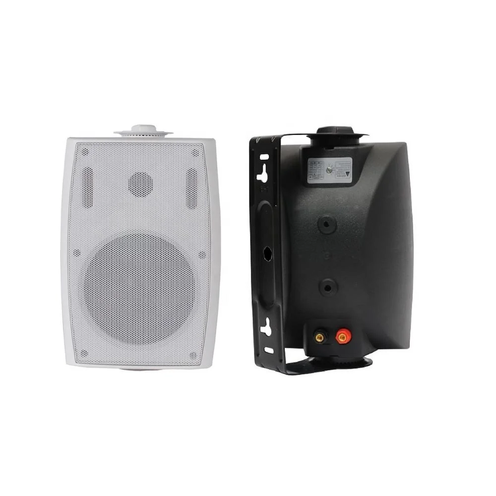 100v speakers