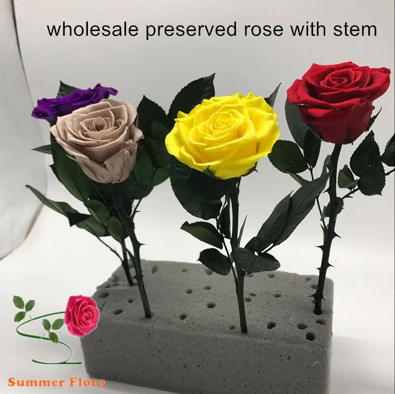 Wholesale Preserved Flower Real Stabilized Roses Beautiful Preserved
