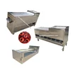 high accuracy fruit seeds removing machine peach pitting /Nucleus pit/ stone/ germ machine