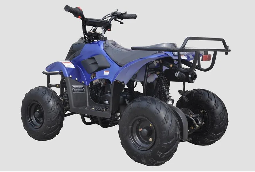 chain drive transmission system 4 wheeler atv for adults