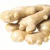 Factory Wholesale 2018 Bulk Cheap Price Chinese Fresh Ginger 150g Up