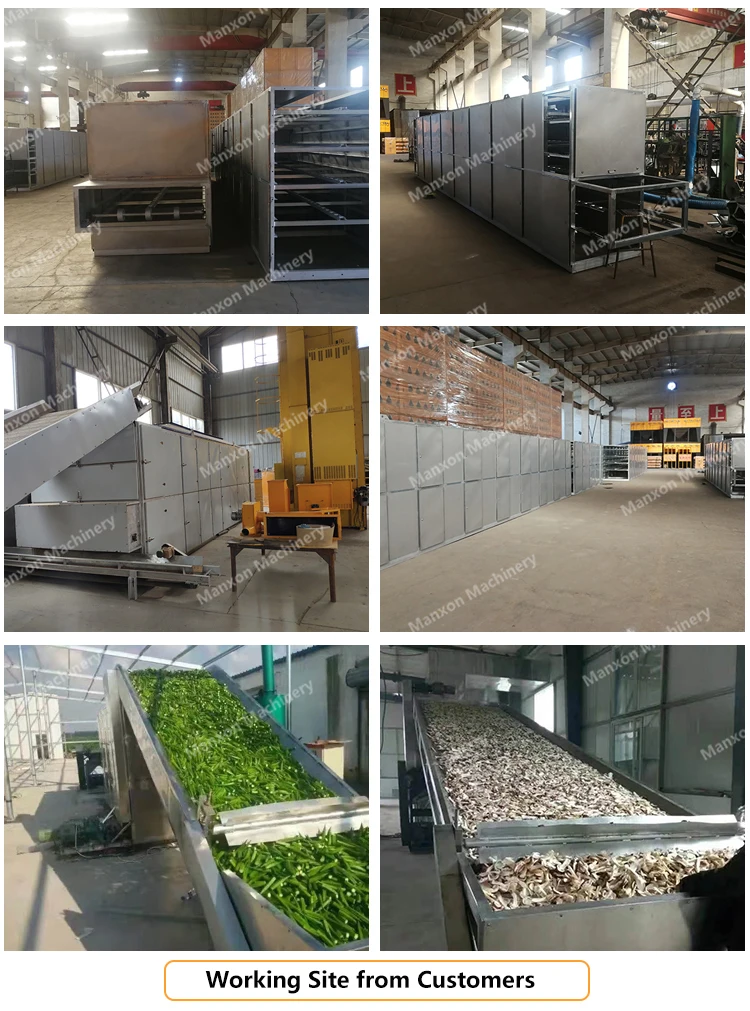 Belt Conveyor Mesh Belt Dryer