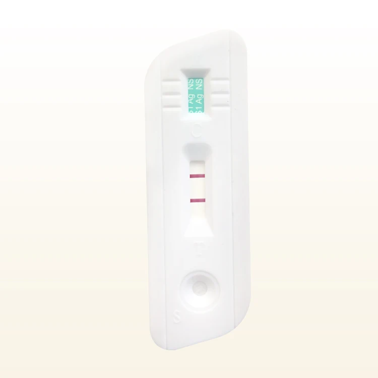 Dengue-NS1-2.jpg