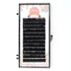 Worldbeauty Camellia Eyelash Extensions Mix Lengths In One Row Lashes