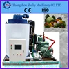 super quality dry commercial Flake ice machine for fish and meat storage 008615838059105