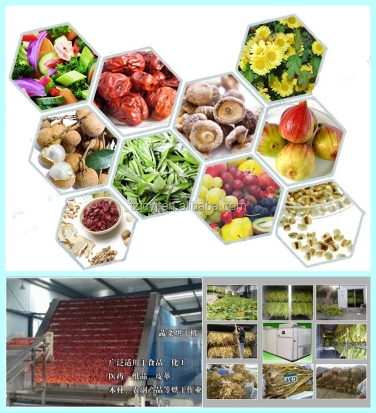 fruit drying machine.jpg
