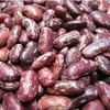 red speckled kieney beans