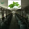 /product-detail/stevia-sugar-plant-stevia-sugar-extraction-machine-in-stevia-sugar-production-line-60787272871.html