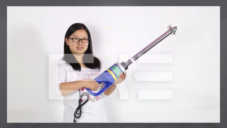 Immersion Blender - 1