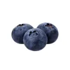 Agricultural Products Good Taste IQF Frozen Freeze Blueberry Price