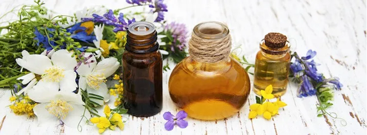 6.palnt oil of gtl biotech.jpg