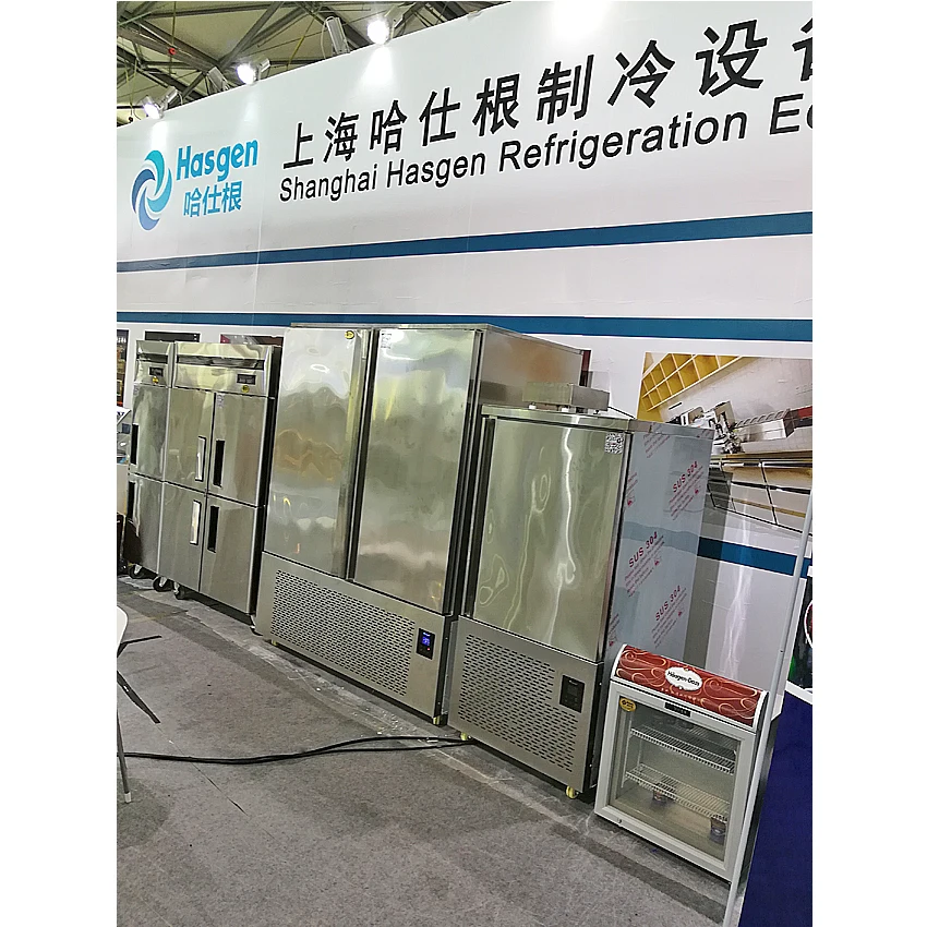 Hasgen Hs30 Vertical Quick Frozen Freezer Factory Cryogenic Blast