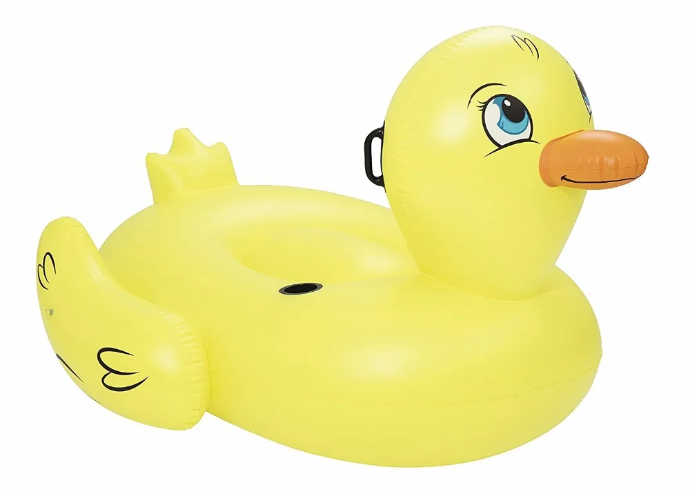 duck floatie pool