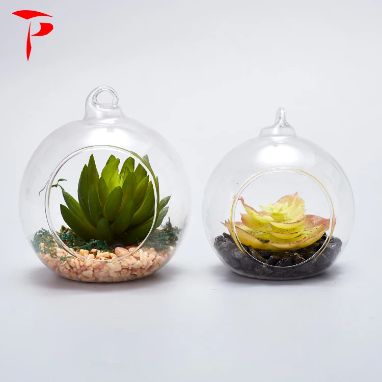 Handblown Hanging Terrarium Glass Clear Glass Terrarium Globe Wholesale Buy Glass Terrarium