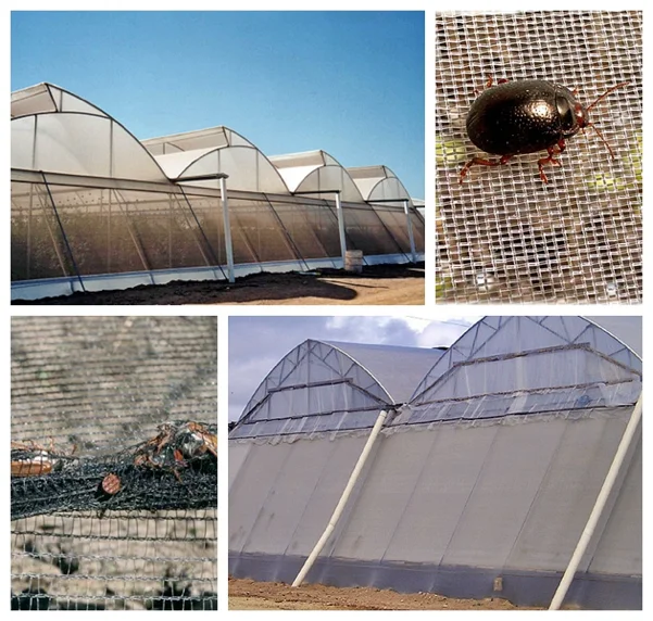 Agricultural Plastic Anti Insect Net/small Pest Prevention Trellis Mesh