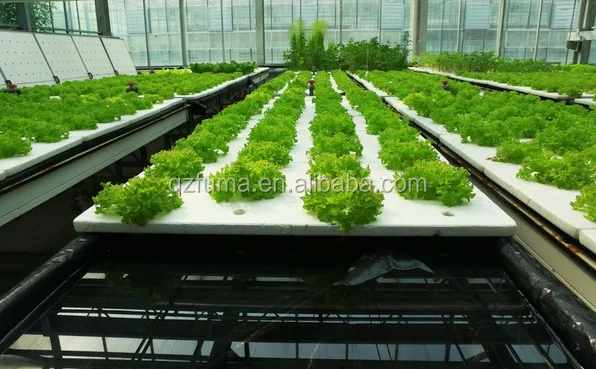 Modern Greenhouse Vertical Hydroponic Grow Systems
