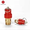 Zhen Xiang safety valve coffee maker brass angle made in China