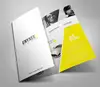 bulk pantone color offset print unique brochures/flyers/poster/folder printing
