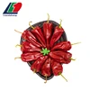 HACCP/ FDA/ KOSHER/ HALAL National Spices Export, Chili Spices OEM Brands