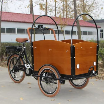 bike carriage for adults