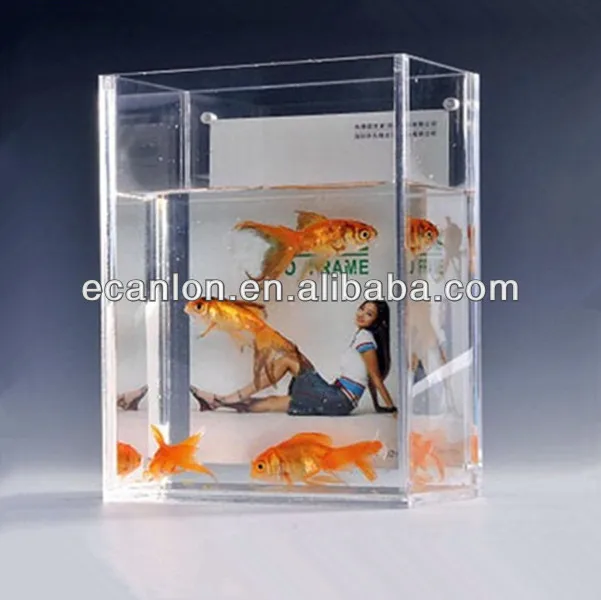 Clear Perspex Acrylic Square Aquarium Buy Acrylic Rectangular