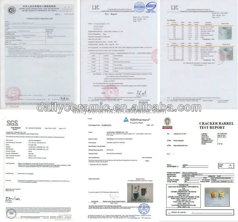 test report