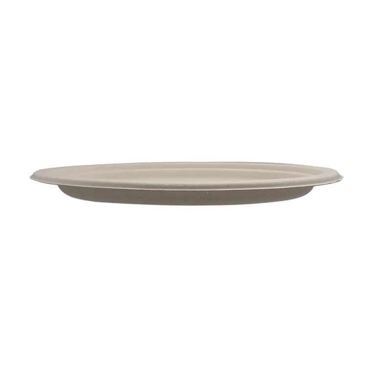 Compostable Dishware Take Away Plates For Restaurant,Disposable Plates For Dinner,10 Inch