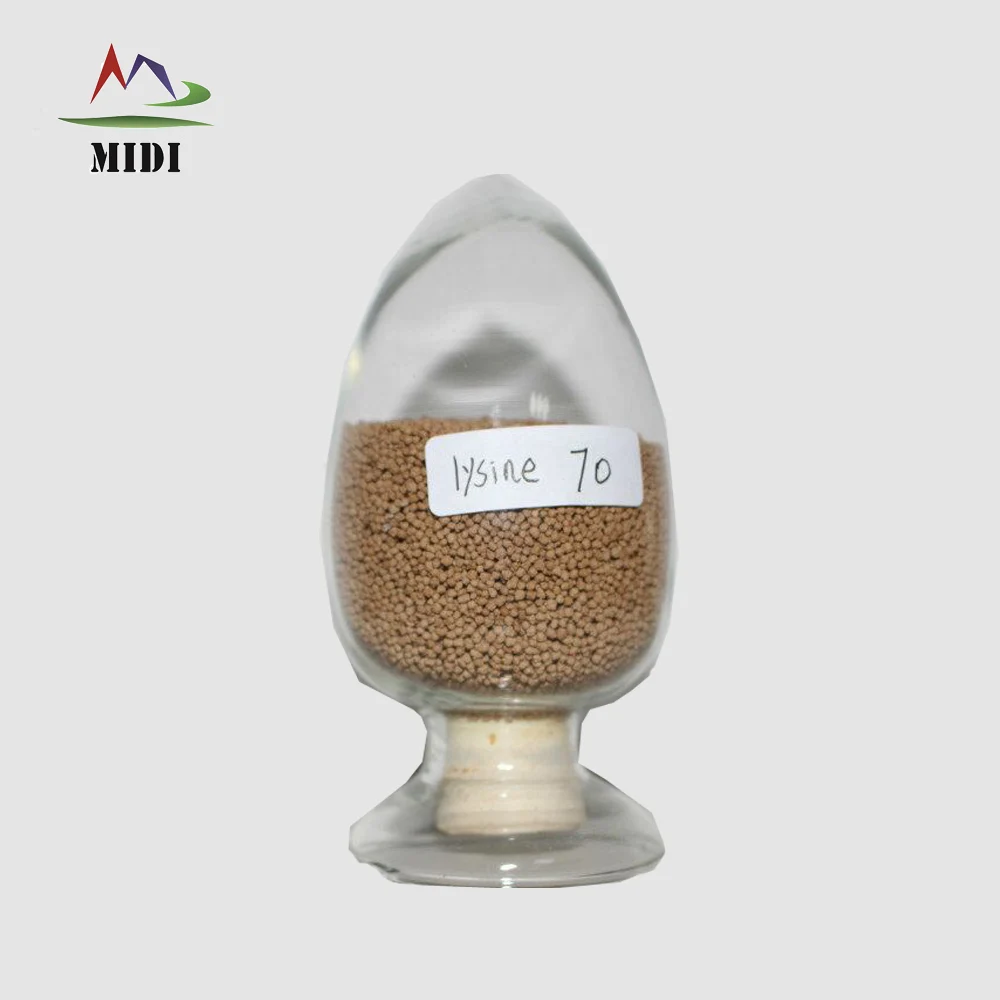 lysine (9).jpg