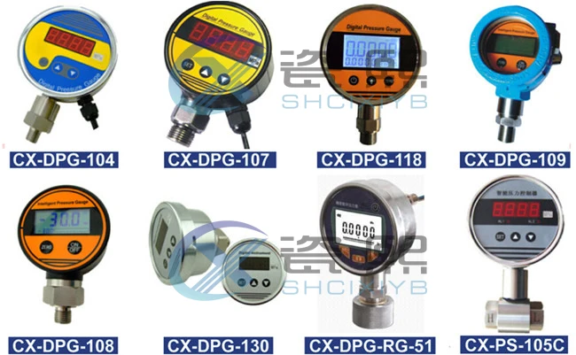 high precision Digital pressure test gauges