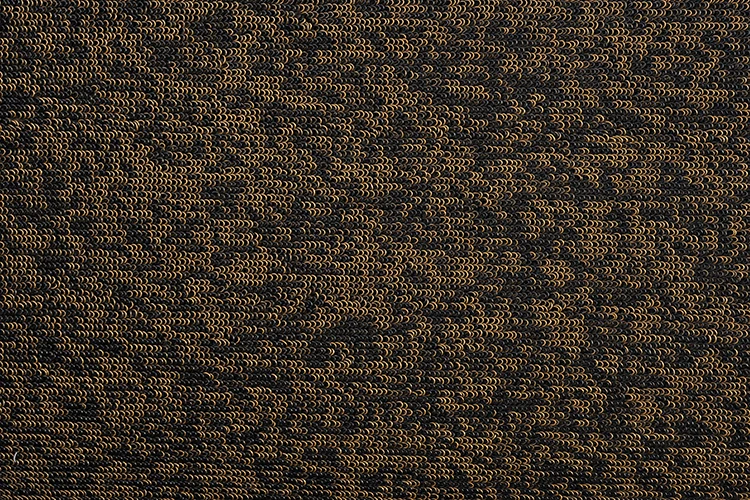 _QYS4615.JPG