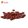 Natural Ganoderma Lucidum Spore Powder Capsules,Softgels,Pills,Tablets,supplement - Manufacturer,Price,OEM,Private Label