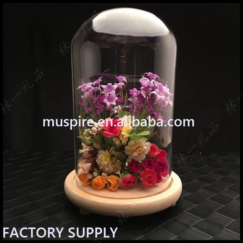 Glass Cake Dome with Bird with creative style (2)