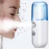 2019 hot products rechargeable handy nano mist facial sprayer with 30ml water tank