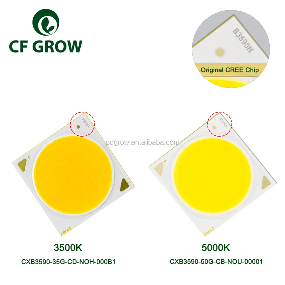 Original Crees Cxb3590 Led Cob Led Chip - Buy Crees Cxb3590 Chip,Cxb3590 Led Cob Chip,Cxb3590 Cob Led Grow Chip Product on