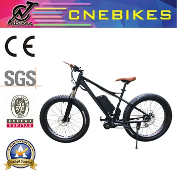 tsdz2 fat bike