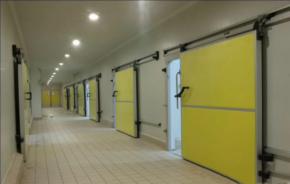 冷室储物门推拉门