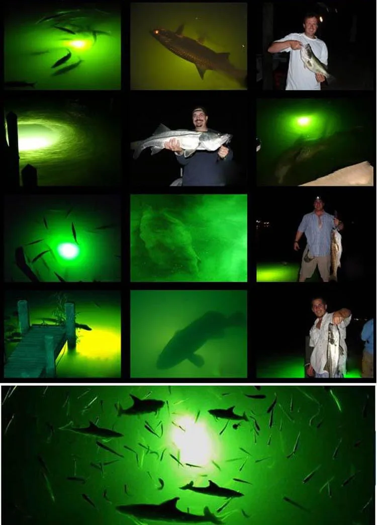 fishing light 3.jpg