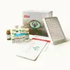 Rat Gja1/ Gap junction alpha-1 protein ELISA Kit