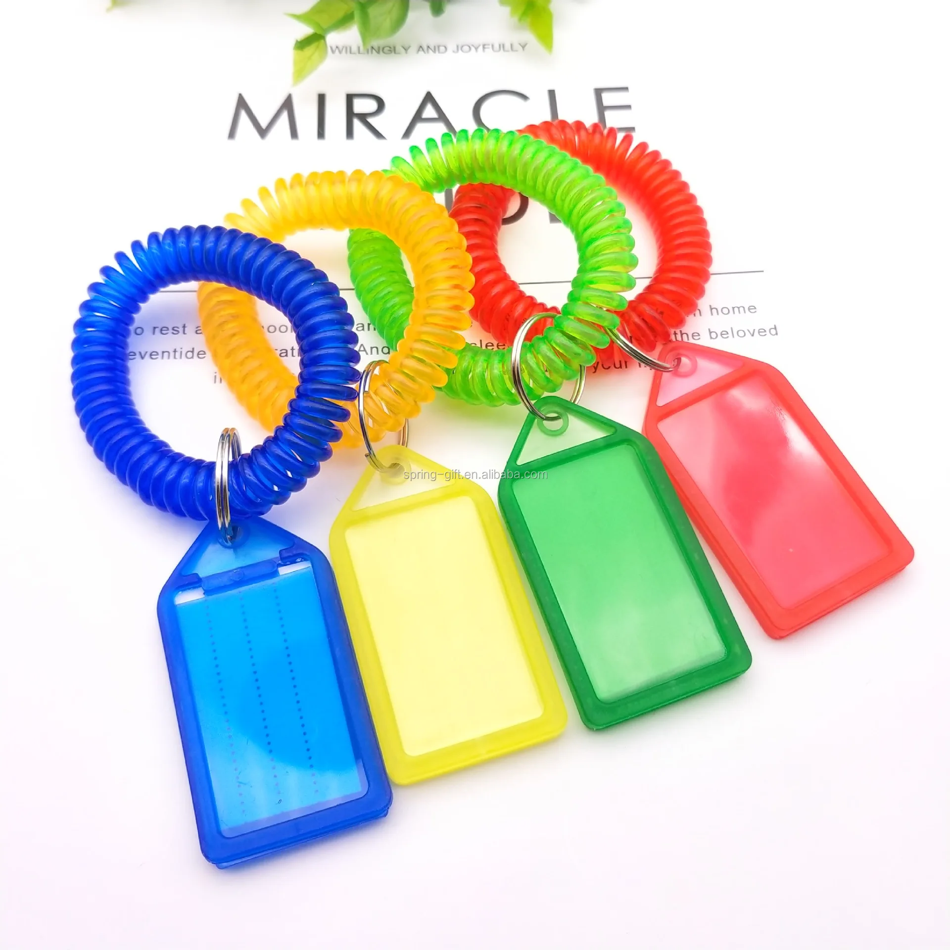 Colorful Assorted Flexible Plastic Spiral Keyring Chains Plastic Spring