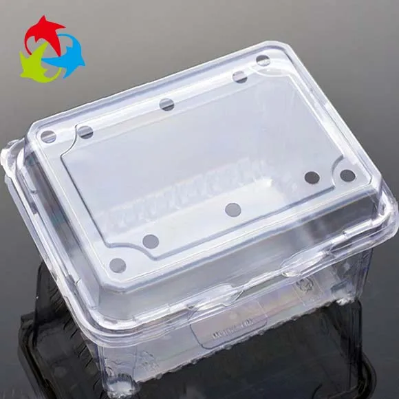  fruit blister packaging.jpg