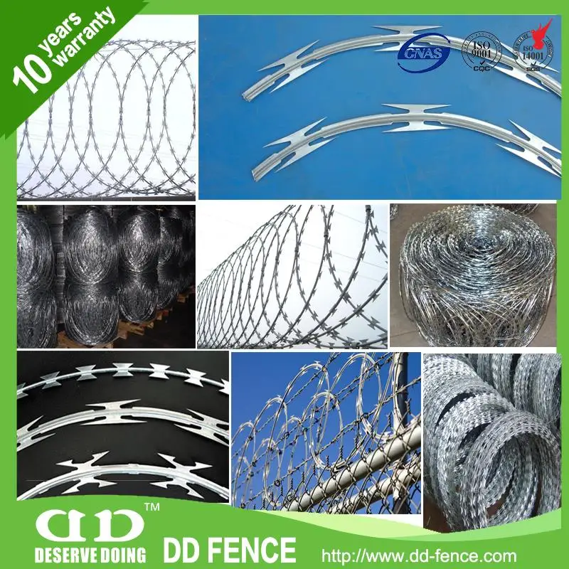 Stainless Steel Barbed Wire For Sale, Stainless Steel Barbed Wire ...